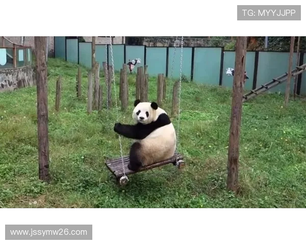 熊猫突然出现吓到姚明的搞笑瞬间引发网友热议与欢笑 熊猫突然出现吓到姚明的搞笑瞬间引发网友热议与欢笑